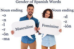 spanish words gender feminine masculine articles female yourdictionary if slide