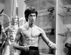 ok google bruce lee