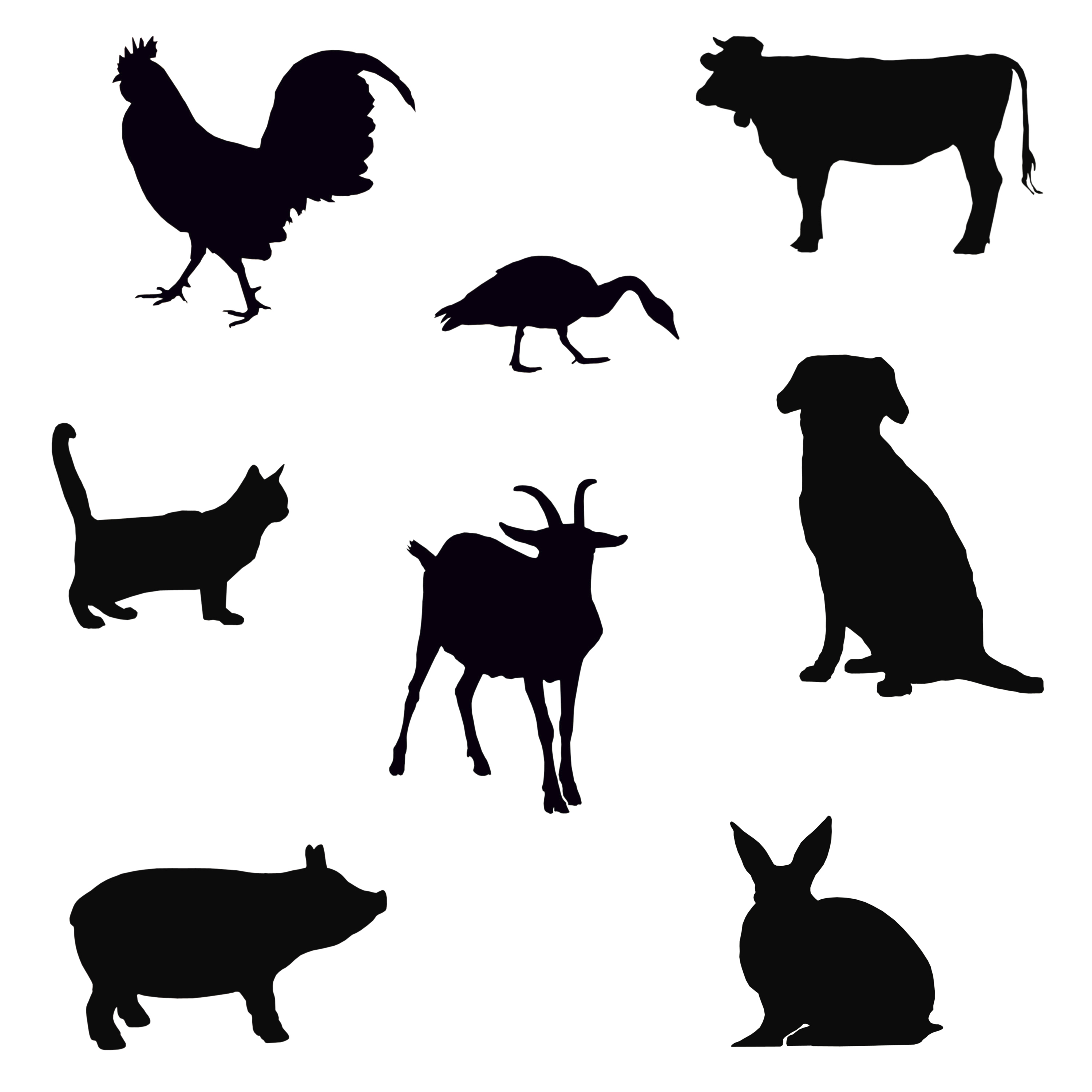 Pets ESL Quiz graphic about Animal Trivia Questions and Answers Printable named Pets ESL Quiz