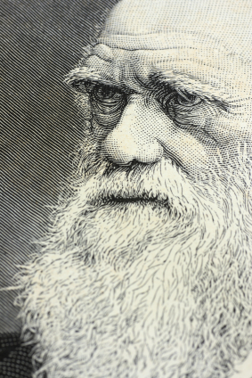 How Did Charles Darwin Die?