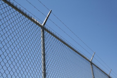 define wire mesh