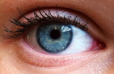 The Pupil