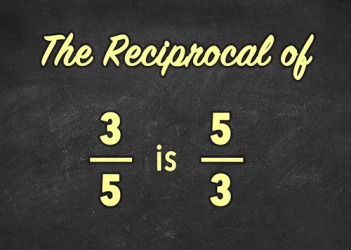 Reciprocal Dictionary Definition Reciprocal Defined