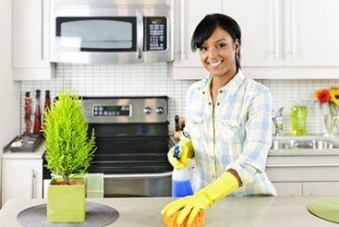 sanitizing dictionary definition sanitizing defined