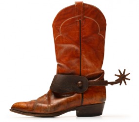 shoe spur