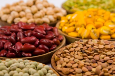 legume dictionary definition legume defined