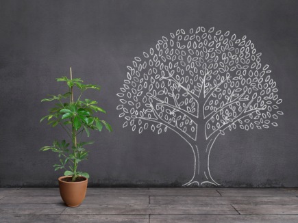 What's the Diff Between a Metaphor and an Analogy?